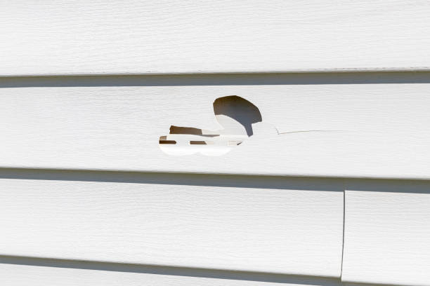  Rochester, NY Junk Removal Pros