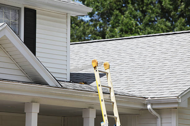 Best Hoarding Cleanup  in Rochester, NY